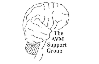THE AVM SUPPORT GROUP logo