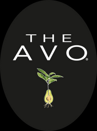 THE AVO logo