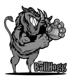 THE BALLHOGG logo
