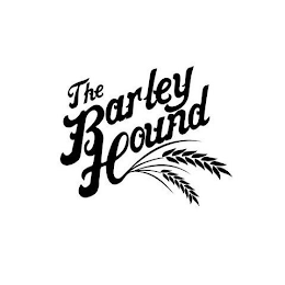 THE BARLEY HOUND logo
