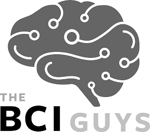 THE BCI GUYS logo