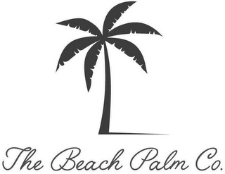 THE BEACH PALM CO. logo