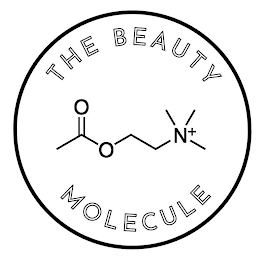 THE BEAUTY MOLECULE O O N+ logo
