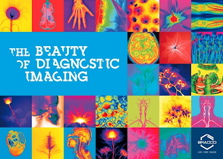 THE BEAUTY OF DIAGNOSTIC IMAGING BRACCOLIFE FROM INSIDE logo