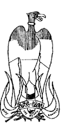 THE BENNU BABY BOOMERS 1946-1964 logo