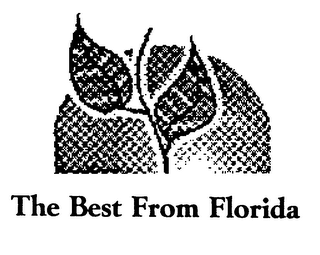 THE BEST FROM FLORIDA logo