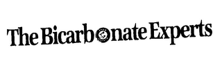 THE BICARBONATE EXPERTS ARM & HAMMER logo