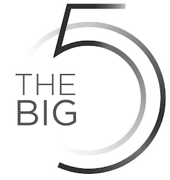 THE BIG 5 logo