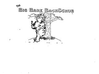 THE BIG BARE BACKSCRUB logo