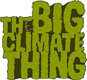THE BIG CLIMATE THING logo