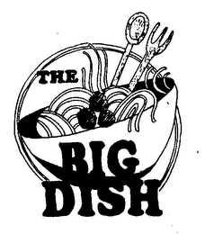 THE BIG DISH logo