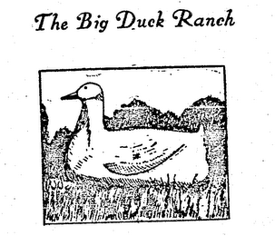 THE BIG DUCK RANCH logo
