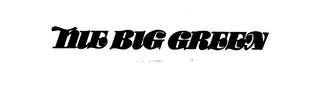 THE BIG GREEN logo
