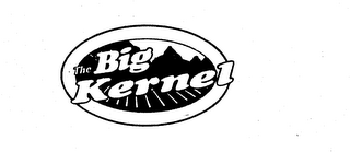 THE BIG KERNEL logo