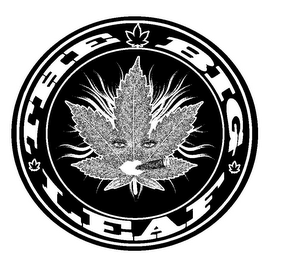 THE BIG LEAF logo