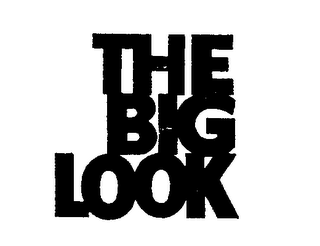 THE BIG LOOK logo