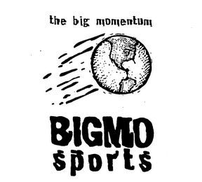 THE BIG MOMENTUM BIGMO SPORTS logo