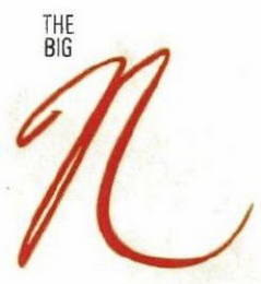 THE BIG N logo