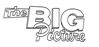 THE BIG PICTURE logo