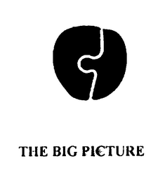 THE BIG PICTURE logo