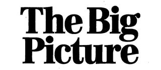THE BIG PICTURE logo
