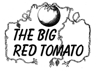 THE BIG RED TOMATO logo