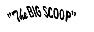 "THE BIG SCOOP" logo