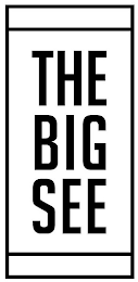 THE BIG SEE logo
