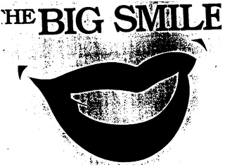 THE BIG SMILE THE DENTAL HEALTH CARE logo