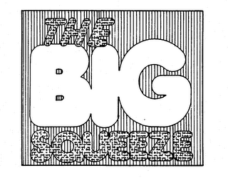 THE BIG SQUEEZE logo