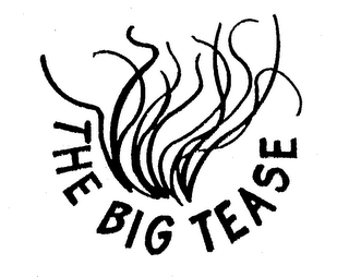 THE BIG TEASE logo