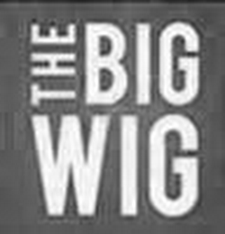 THE BIG WIG logo