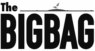 THE BIGBAG logo
