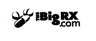 THE BIGRX.COM logo