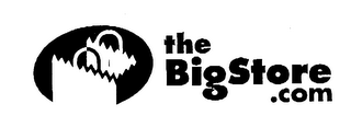 THE BIGSTORE.COM logo