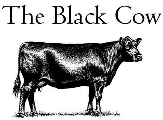 THE BLACK COW logo