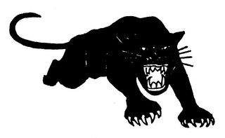 THE BLACK PANTHER PARTY logo