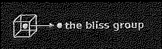 THE BLISS GROUP logo