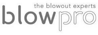 THE BLOWOUT EXPERTS BLOWPRO logo
