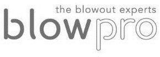 THE BLOWOUT EXPERTS BLOWPRO logo