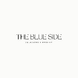 THE BLUE SIDE CONSCIOUS LIFESTYLE logo