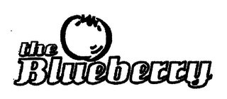 THE BLUEBERRY logo
