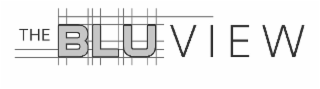 THE BLUVIEW logo