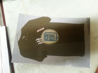 THE BOOK OF LIFE logo