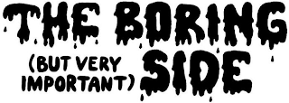 THE BORING (BUT VERY IMPORTANT) SIDE logo
