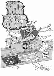 THE BOSS BORN IN THE USA TEAM IMS logo
