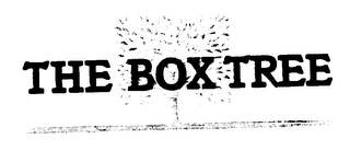 THE BOX TREE logo