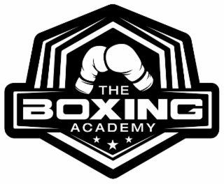 THE BOXING ACADEMY logo