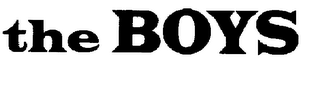 THE BOYS logo