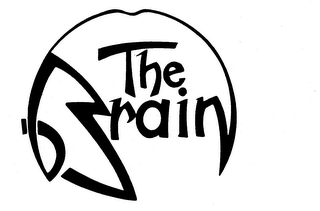 THE BRAIN
